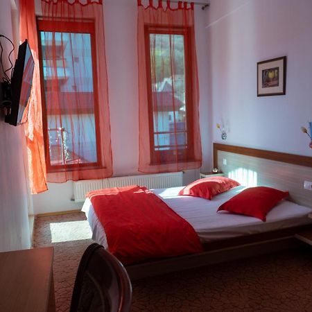 Vila Nicoleta Бэи­ле-Олэ­неш­ти Экстерьер фото